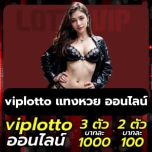 viplotto แทงหวย ออนไลน์